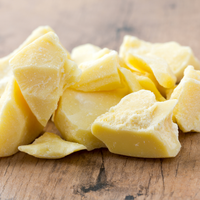 Theobroma Cacao Seed Butter