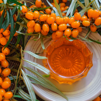 Sea Buckthorn Berry Oil